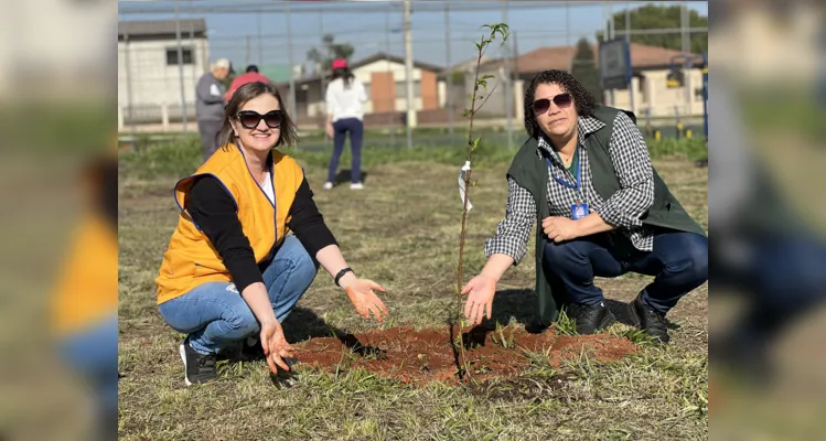 Clube realizou o plantio de árvores frutíferas na cidade; público também pode participar