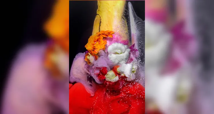 "Kalanchoe submersa em água com jatos de tinta e glitter" 