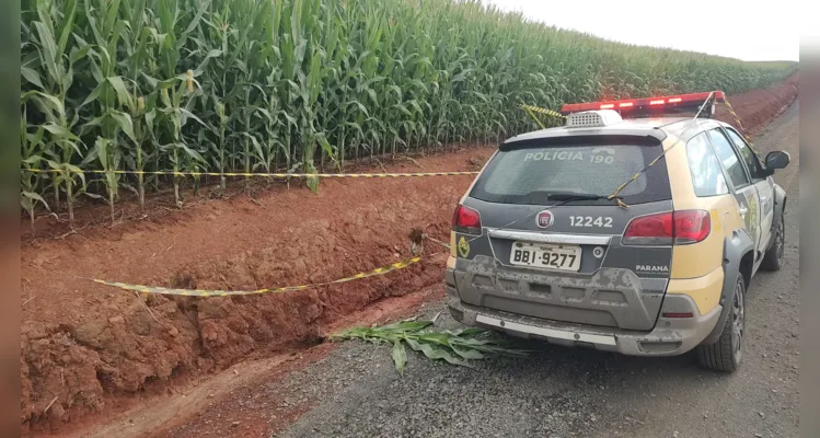 Corpo foi localizado dentro de uma plantação de milho.