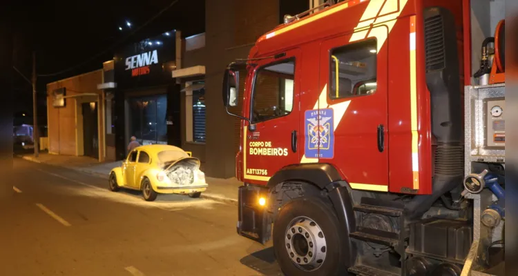 Equipe do Corpo de Bombeiros foi acionada para atender a situação.