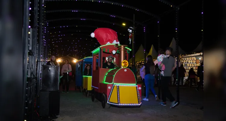 Pista de patinação no gelo é atração no 'Natal Encantado'