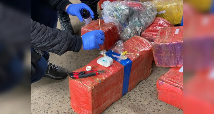 Do total apreendido, 2,6 toneladas são de maconha; crack, cocaína, ecstasy e LSD também foram apreendidos