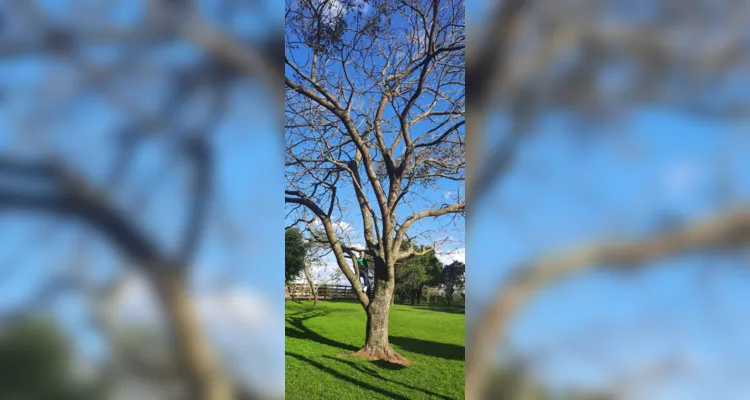 Aula do Vamos Ler e Unimed PG tem fotos de alunos em Palmeira