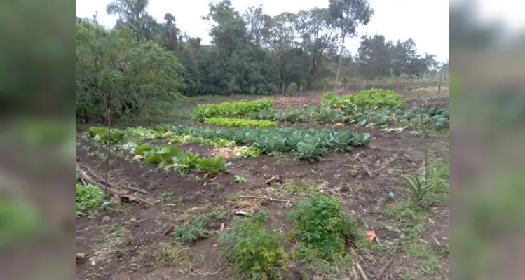 Cuidados alimentares são destaques em ação de Palmeira