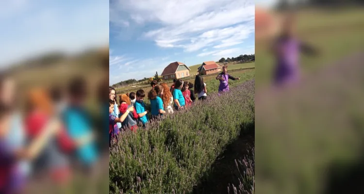 Visita a Lavandário leva estudo e admiração à turma de Carambeí