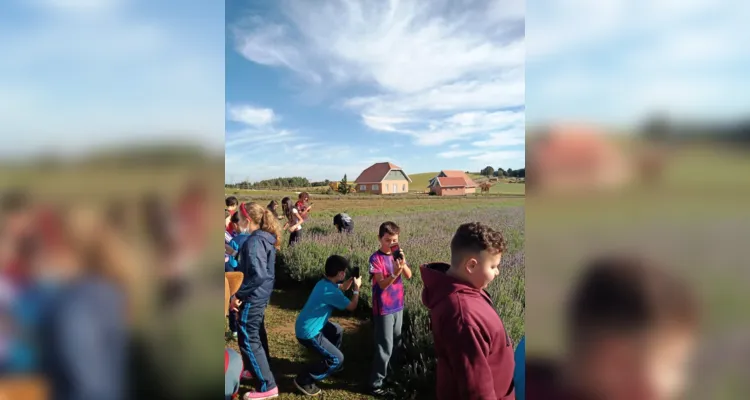 Visita a Lavandário leva estudo e admiração à turma de Carambeí