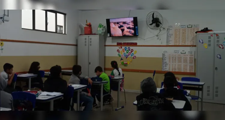 Turma de Imbituva une ações solidárias e de cunho ambiental