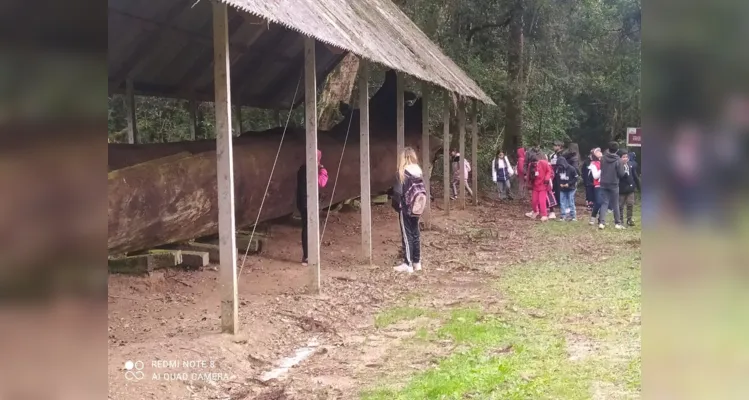 Turmas de Piraí do Sul realizam passeio pela história em Castro