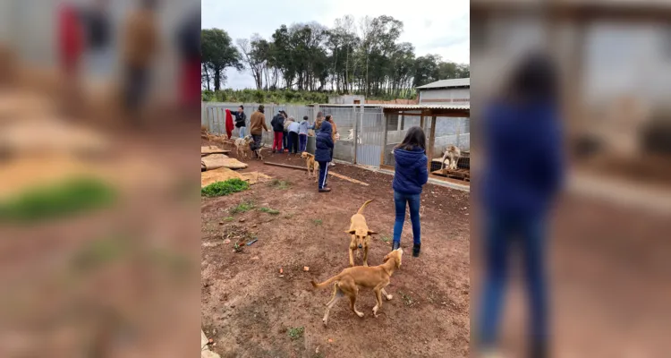 Visita à ONG em Ipiranga tem ação de cuidados aos animais