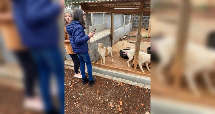 Visita à ONG em Ipiranga tem ação de cuidados aos animais
