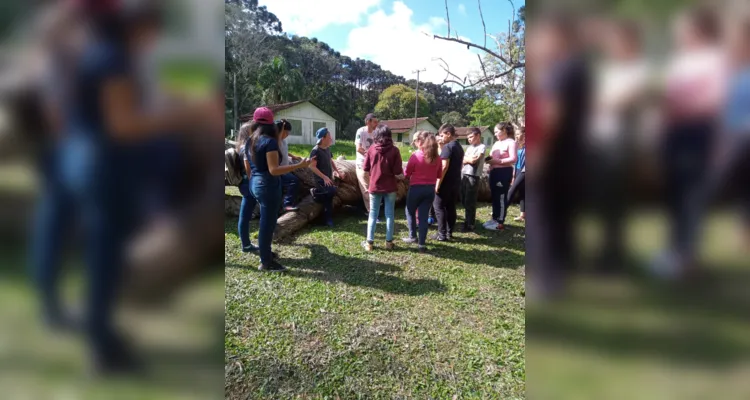 Videoaulas da Unimed e Vamos Ler são destaques em Irati