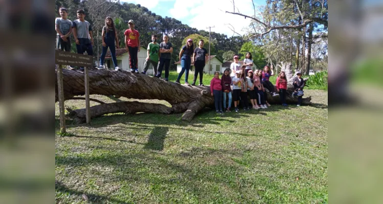 Videoaulas da Unimed e Vamos Ler são destaques em Irati