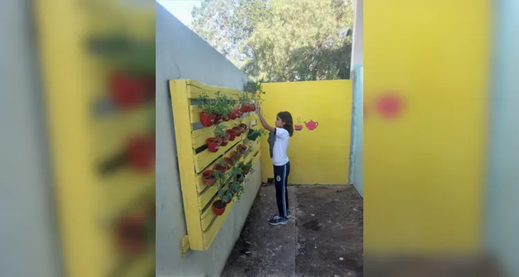 Alunos de Ortigueira estudam sobre as plantas medicinais