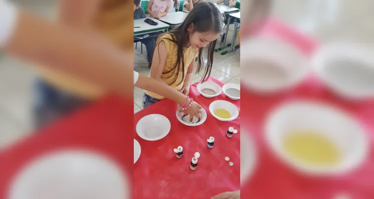 Encantamento marca Feira de Ciências em escola de Imbituva