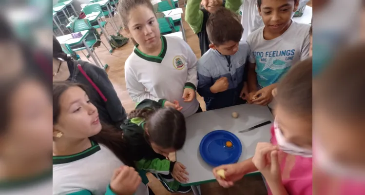 Aula experimental desperta curiosidade de turma em Imbaú