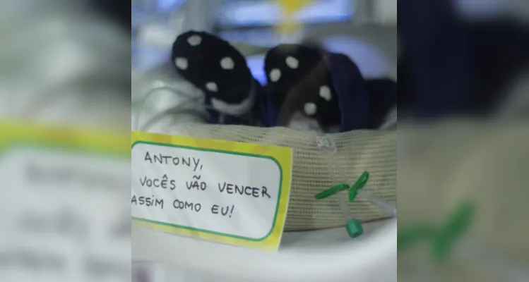 Os recém-nascidos foram vestidos com a ‘amarelinha’ e diversos recadinhos foram enviados ao Catar