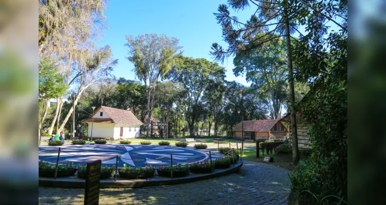 Bosque Papa João Paulo II no Centro Cívico em Curitiba.  Curitiba, 09/07/2019 