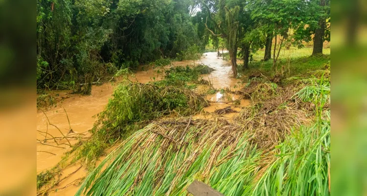 Tibagi registrou aproximadamente 200 milímetros de chuva nas últimas 24 horas