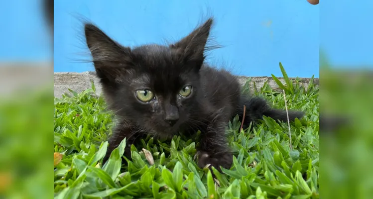 Salem