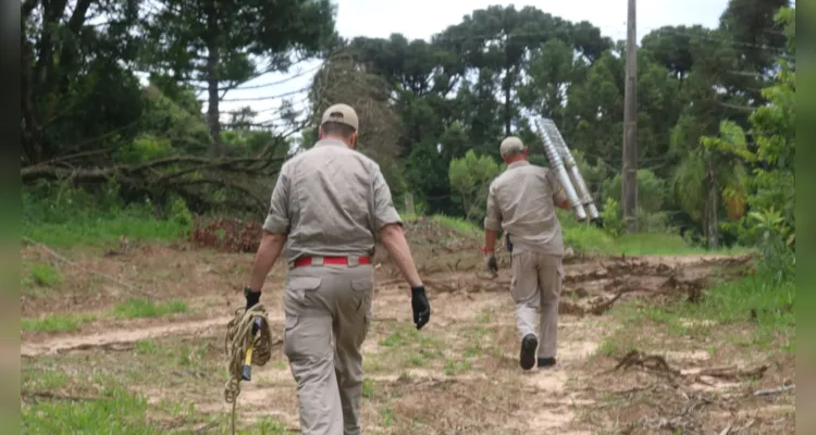 Corpo é achado às margens de rodovia de PG