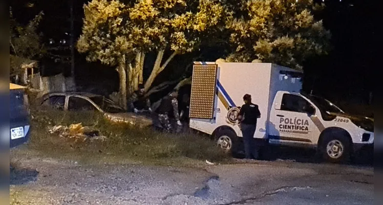 Confronto foi em uma área de mata no Jardim Atlanta, em Ponta Grossa