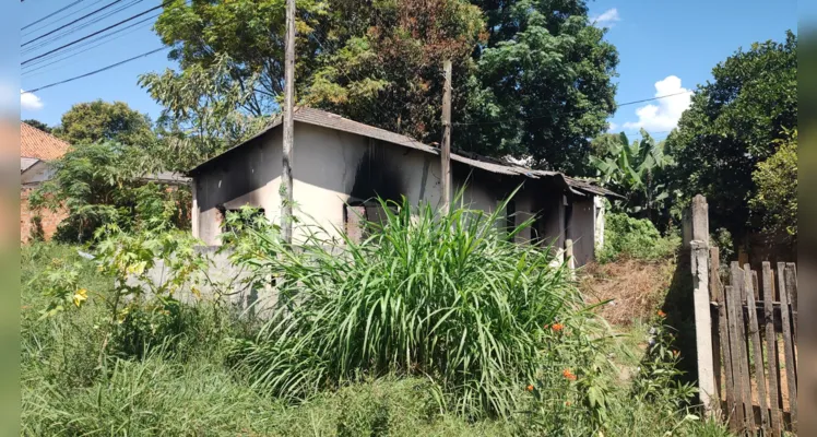 Imagens mostram o impacto do incêndio