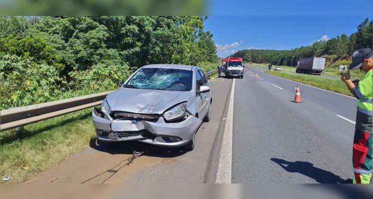 Os dois ocupantes do carro não ficaram feridos