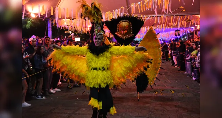 Apresentação das escolas de samba de Ponta Grossa aconteceu no Parque Ambiental