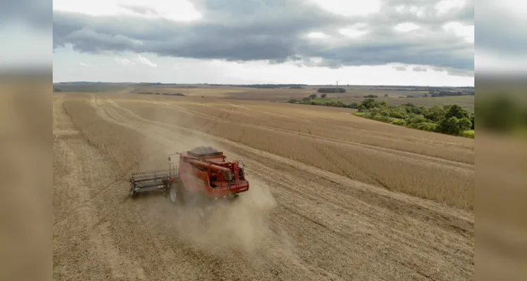 As máquinas devem tirar do campo mais de 21 milhões de toneladas de soja