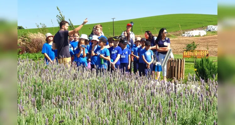 Escola Municipal usa a lavanda para conscientizar alunos