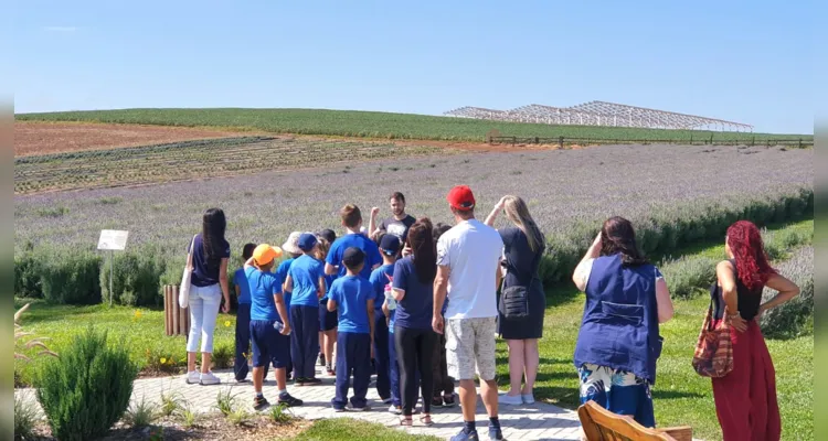 Escola Municipal usa a lavanda para conscientizar alunos