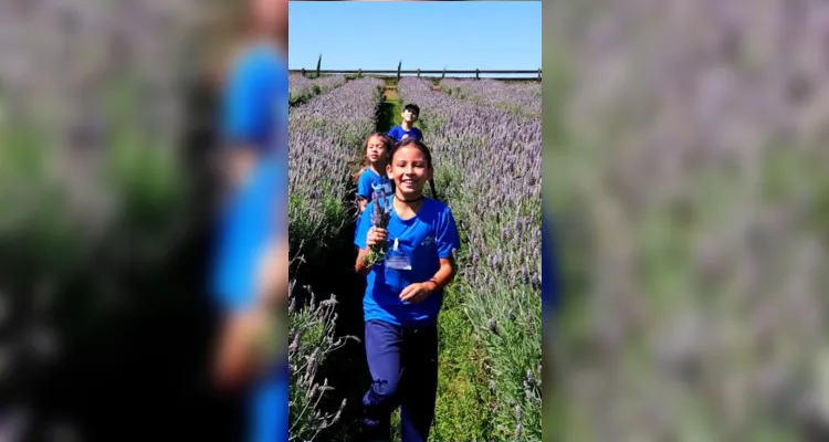 Escola Municipal usa a lavanda para conscientizar alunos