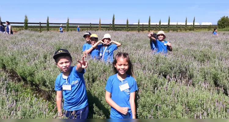 Escola Municipal usa a lavanda para conscientizar alunos