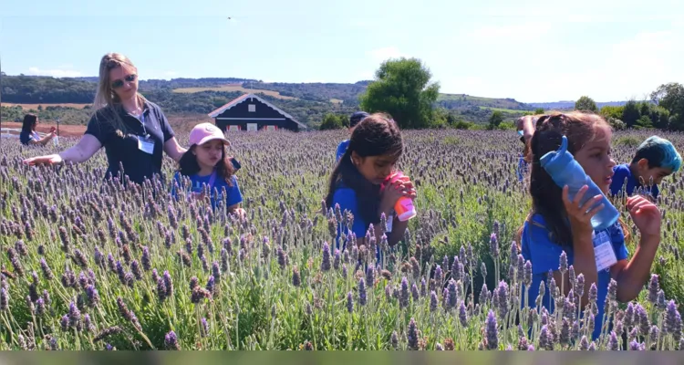 Escola Municipal usa a lavanda para conscientizar alunos