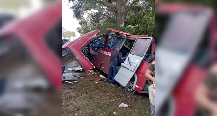 Ônibus ficou destruído ao atingir árvores às margens da rodovia