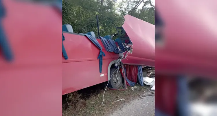 Ônibus ficou destruído ao atingir árvores às margens da rodovia