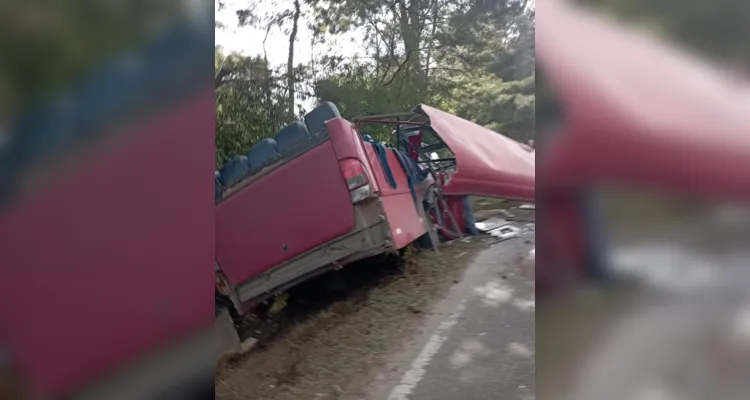 Ônibus ficou destruído ao atingir árvores às margens da rodovia