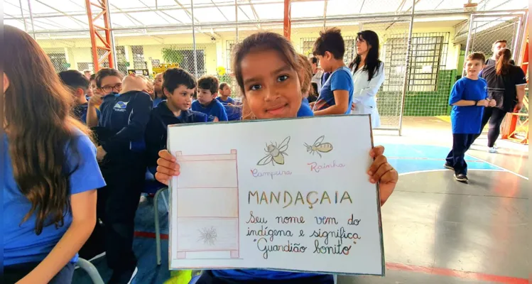 A escola instalou três colmeias, duas para abelhas da espécie jataí e outra para abelhas da espécie mandaçaia