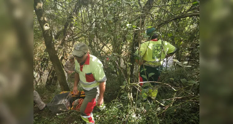 Equipes de socorro foram acionadas até o local para prestar atendimento à ocorrência