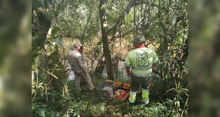 Equipes de socorro foram acionadas até o local para prestar atendimento à ocorrência