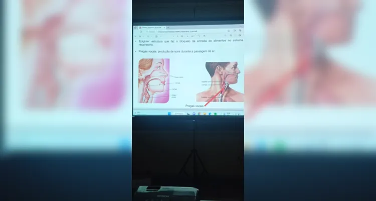 Conteúdo visual e dinâmico proporcionou ampliação do trabalho