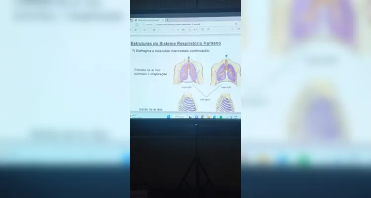 Conteúdo visual e dinâmico proporcionou ampliação do trabalho