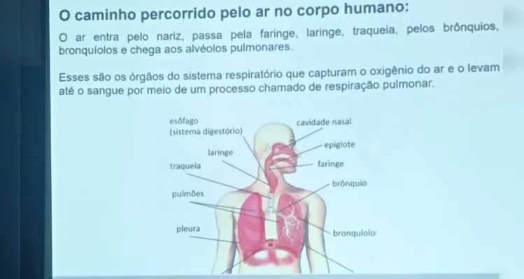 Conteúdo visual e dinâmico proporcionou ampliação do trabalho