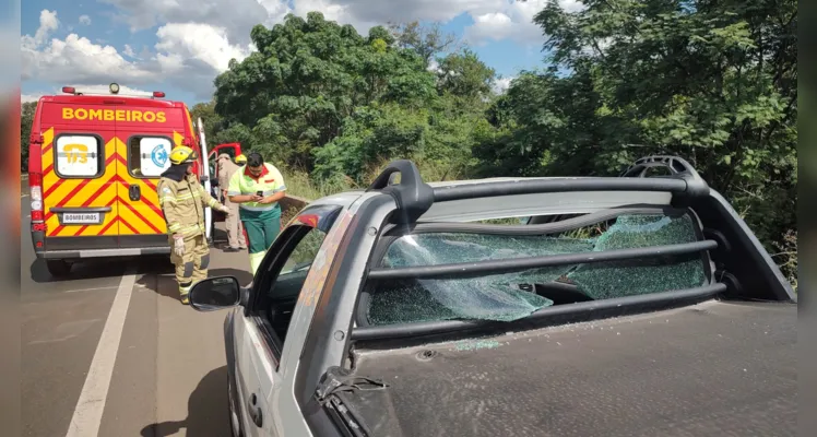 Peça atravessou o para-brisa da caminhonete e atingiu o condutor na BR-376