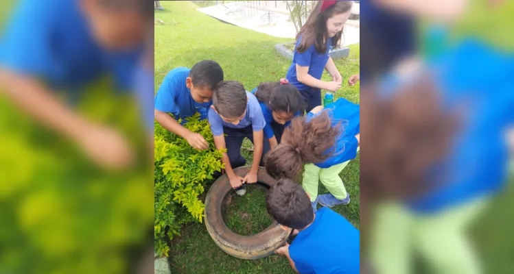 As atividades fazem parte de um novo projeto de combate à dengue iniciado na Escola