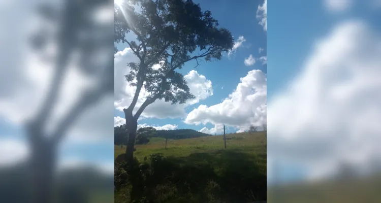 Registros dentro e fora da sala de aula mostram imersão no trabalho