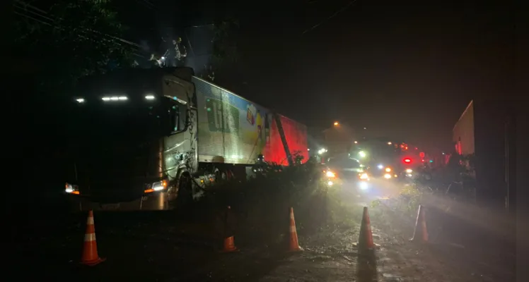 Bombeiros trabalharam na poda da árvore após o acidente