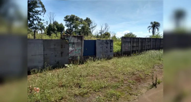 Além de estar alto, mato chega a invadir parte da via