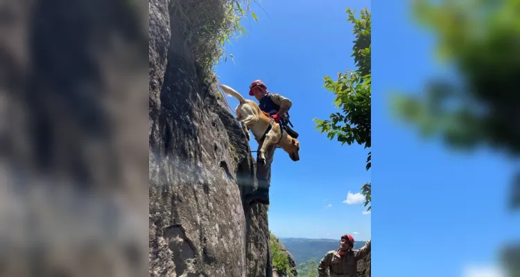 A atividade consistiu em simular uma situação com vítima de trauma no cume da montanha