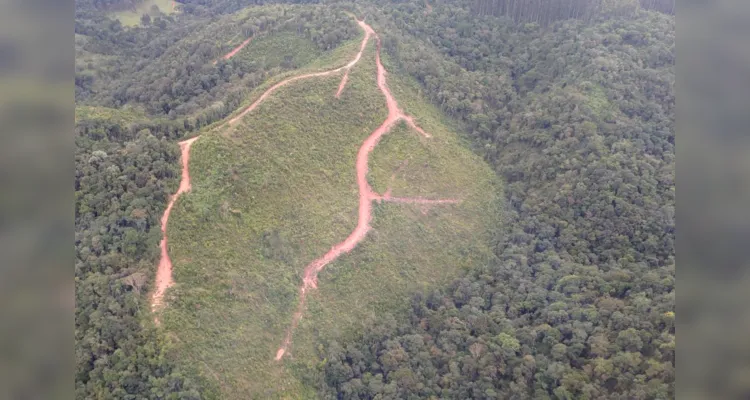 Foram duas sessões de sobrevoo, de quatro horas cada uma, por 11 municípios da região